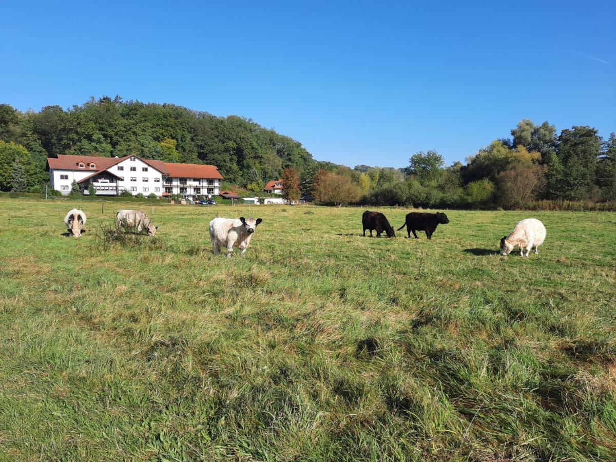 Landgasthof Rotlipp Gaestezimmer Ortenberg  Exterior foto